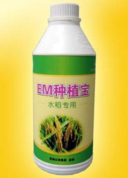 廣州以諾生物科技推出‘em種植寶’水稻專用產品，助力綠色農業發展